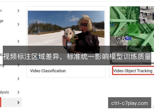 视频标注区域差异，标准统一影响模型训练质量
